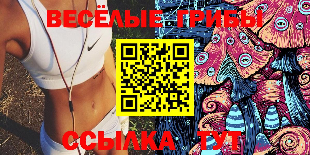 Псилоцибиновые грибы Psilocybe Видное